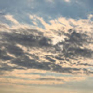 Meet your Posher, Molly